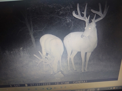 Trophy Class Hunting Property in Southern Iowa - image 8