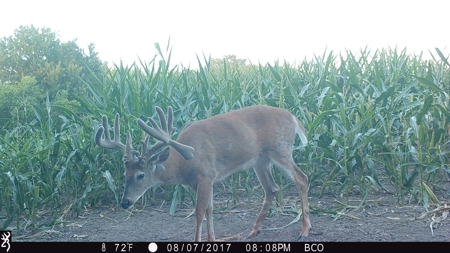Trophy Class Hunting Property in Southern Iowa - image 21