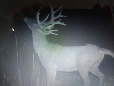 Trophy Class Hunting Property in Southern Iowa - image 13