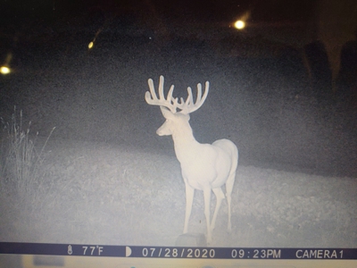 Trophy Class Hunting Property in Southern Iowa - image 9