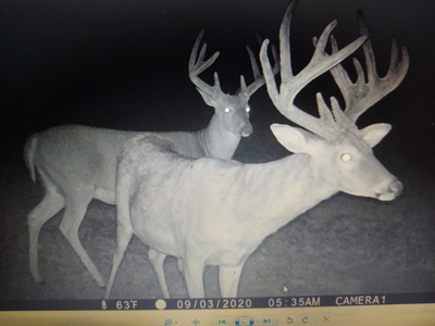 Trophy Class Hunting Property in Southern Iowa - image 6