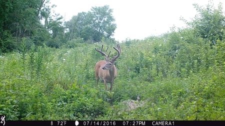 Trophy Class Hunting Property in Southern Iowa - image 20