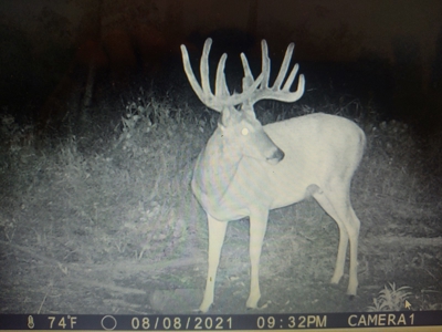 Trophy Class Hunting Property in Southern Iowa - image 4