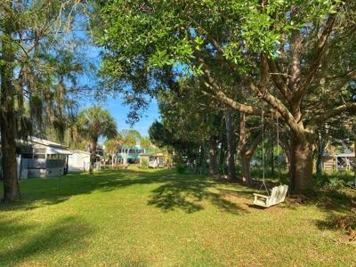 Beautiful Suwannee Florida - image 4