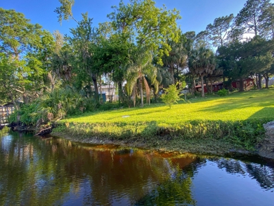 Beautiful Suwannee Florida - image 1