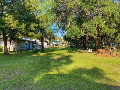 Beautiful Suwannee Florida - image 2