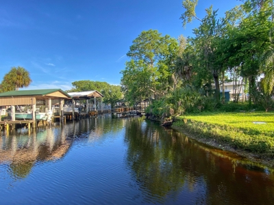 Beautiful Suwannee Florida - image 5