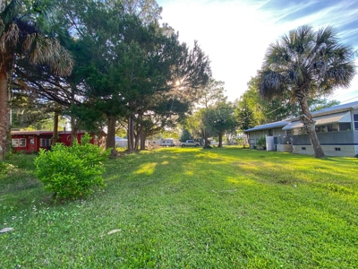 Beautiful Suwannee Florida - image 3