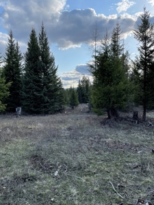 Montana Getaway, Perfect for Your Dream Home - image 2
