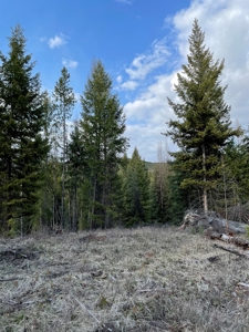 Montana Getaway, Perfect for Your Dream Home - image 7