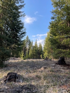 Montana Getaway, Perfect for Your Dream Home - image 8