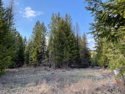 Montana Getaway, Perfect for Your Dream Home - image 10