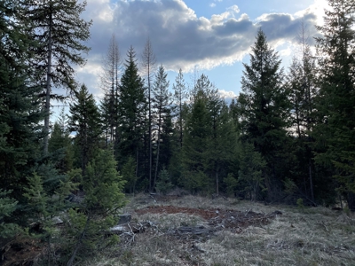 Montana Getaway, Perfect for Your Dream Home - image 6