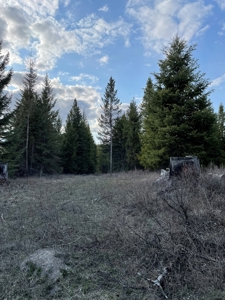 Montana Getaway, Perfect for Your Dream Home - image 4