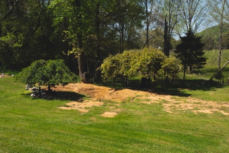 4 BR, 2 BA Home in Bean Station, TN For Sale - image 19