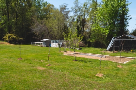 4 BR, 2 BA Home in Bean Station, TN For Sale - image 24