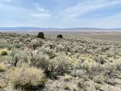 5 Acre Residential Lot in Humboldt River Ranch - image 10