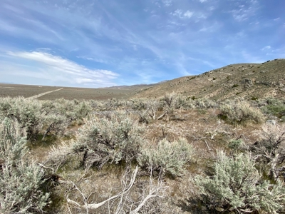 5 Acre Residential Lot in Humboldt River Ranch - image 17