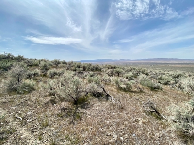 5 Acre Residential Lot in Humboldt River Ranch - image 7