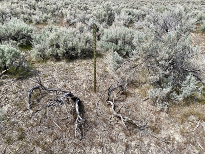 5 Acre Residential Lot in Humboldt River Ranch - image 9