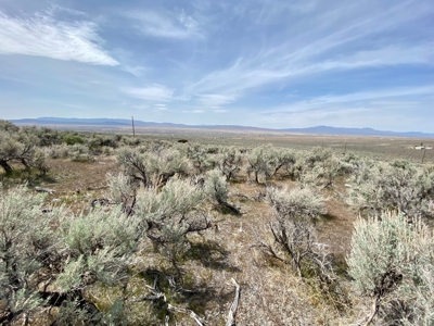 5 Acre Residential Lot in Humboldt River Ranch - image 15