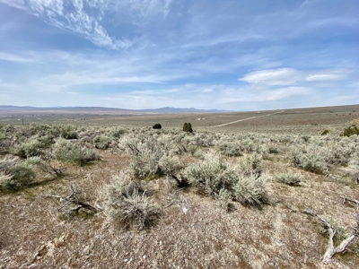 5 Acre Residential Lot in Humboldt River Ranch - image 8