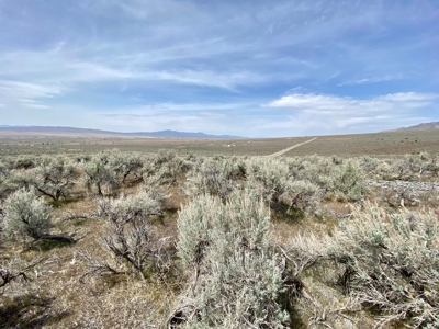 5 Acre Residential Lot in Humboldt River Ranch - image 16