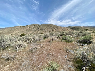 5 Acre Residential Lot in Humboldt River Ranch - image 12