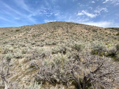 5 Acre Residential Lot in Humboldt River Ranch - image 5