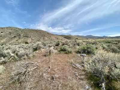 5 Acre Residential Lot in Humboldt River Ranch - image 13