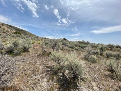 5 Acre Residential Lot in Humboldt River Ranch - image 6