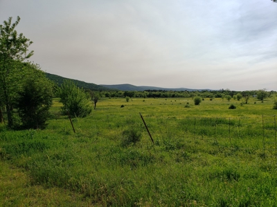 Land For Sale In Southwestern, Arkansas - image 7