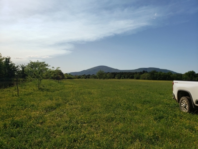 Land For Sale In Southwestern, Arkansas - image 17