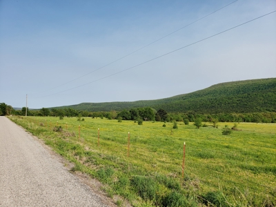 Land For Sale In Southwestern, Arkansas - image 18