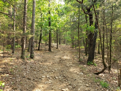 Land For Sale In Southwestern, Arkansas - image 25