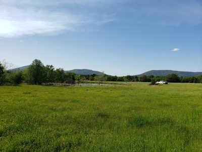 Land For Sale In Southwestern, Arkansas - image 16