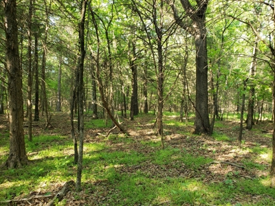 Land For Sale In Southwestern, Arkansas - image 14