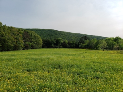 Land For Sale In Southwestern, Arkansas - image 10