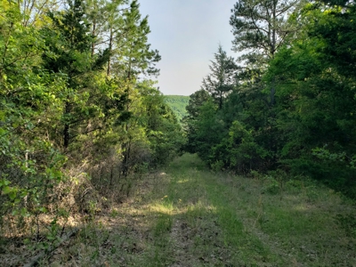Land For Sale In Southwestern, Arkansas - image 12