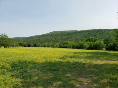 Land For Sale In Southwestern, Arkansas - image 6