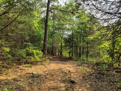 Land For Sale In Southwestern, Arkansas - image 21