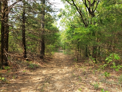 Land For Sale In Southwestern, Arkansas - image 20