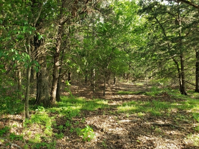 Land For Sale In Southwestern, Arkansas - image 11