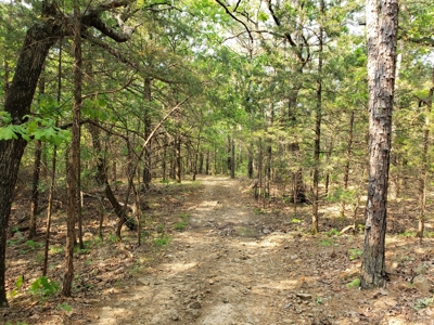 Land For Sale In Southwestern, Arkansas - image 28
