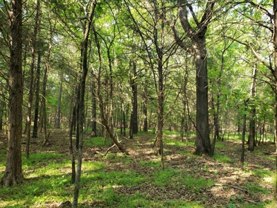 Land For Sale In Southwestern, Arkansas - image 15