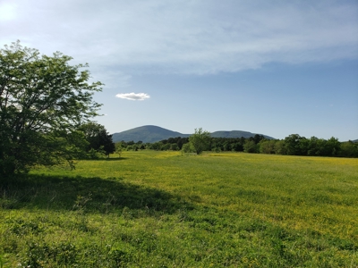Land For Sale In Southwestern, Arkansas - image 9