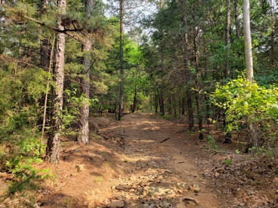 Land For Sale In Southwestern, Arkansas - image 24