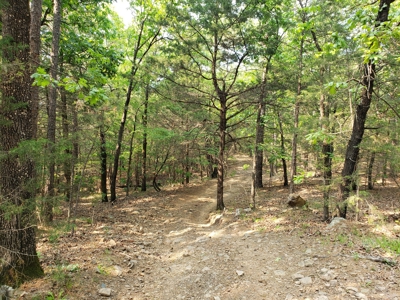 Land For Sale In Southwestern, Arkansas - image 26