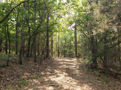Land For Sale In Southwestern, Arkansas - image 27