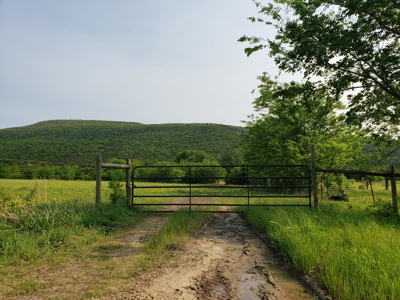 Land For Sale In Southwestern, Arkansas - image 4